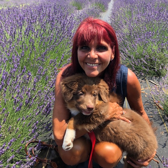 Meet your Posher, Barbara♥️♥️POSH AMBASSADOR♥️♥️ - Picture 5 of 8